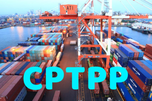Biểu thuế xuất khẩu ưu đãi đặc biệt thực hiện Hiệp định CPTPP gồm 609 dòng thuế và biểu thuế nhập khẩu gồm 11.526 dòng thuế.