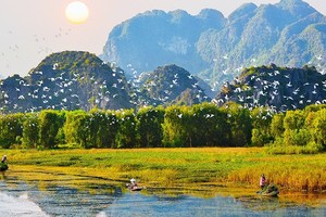 Ban hành kế hoạch tổ chức thẩm định Quy hoạch bảo tồn đa dạng sinh học quốc gia