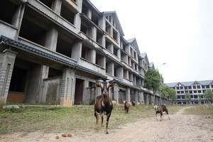 Phần lớn tài sản bảo đảm cho các khoản vay tại hệ thống ngân hàng hiện nay là bất động sản