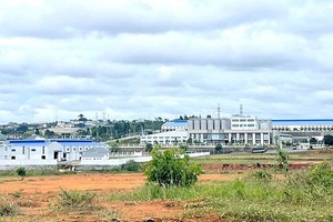 Công ty cổ phần Bình Điền - Lâm Đồng xin chấm dứt việc thuê đất Khu công nghiệp Phú Hội