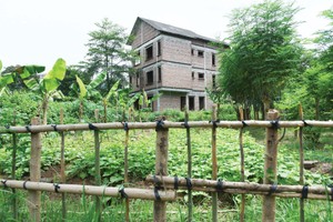 Đất nền là sản phẩm có xu hướng đầu tư và đầu cơ nhiều hơn là ở thực. Ảnh: Dũng Minh