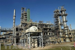 (Ảnh: Doãn Tấn/TTXVN)