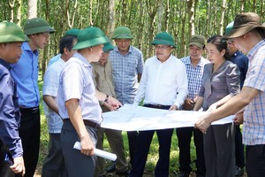 UBND tỉnh Quảng Trị kiểm tra tiến độ dự án cao tốc Bắc Nam đoạn Vạn Ninh - Cam Lộ.