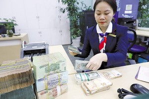 Năm nay, BIDV vẫn tiếp tục thực hiện nhiệm vụ chào bán riêng lẻ 9% vốn (455,3 triệu cổ phiếu). Ảnh: Đức Thanh
