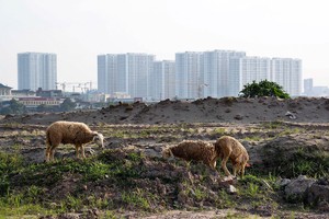 Phiền hà trong thực hiện thủ tục đất đai còn phổ biến. Ảnh: Dũng Minh