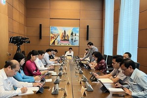 Phiên thảo luận tổ về dự án Luật Các tổ chức tín dụng sửa đổi.