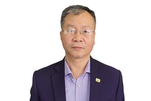 TS. Vũ Đình Ánh, chuyên gia kinh tế.