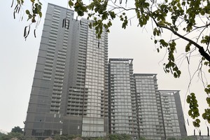 Ảnh minh họa của Mỹ An.