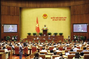 Mạch nghị trường 