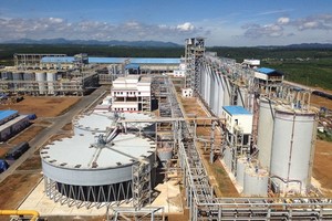 Khu vực thăm dò quặng Bô-xít chồng lấn là 2.397 ha rừng tự nhiên ở Lâm Đồng