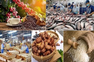 Những mặt hàng nông sản chủ lực của Việt Nam trong nửa cuối 2023.