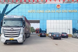 Nhập khẩu hàng hóa qua Cửa khẩu cầu Bắc Luân II.