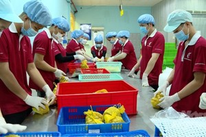 Điểm sáng xuất khẩu hàng hóa sang Nhật Bản 