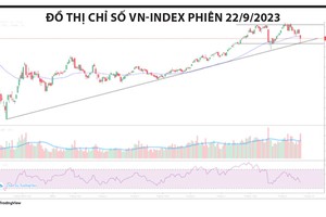 Chọn cổ phiếu “có câu chuyện”