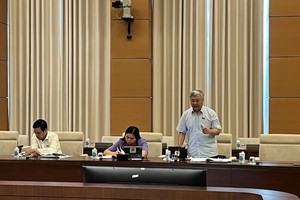 Đại biểu Trần Văn Lâm phát biểu tại phiên họp.