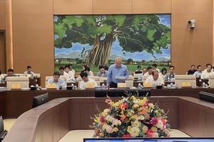 Thứ trưởng Bộ Kế hoạch và Đầu tư Đỗ Thành Trung báo cáo tại phiên họp.