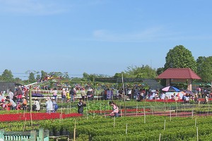 Đông đảo du khách trong và ngoài nước tham quan, trải nghiệm Làng hoa Sa Đéc của anh em Hội quán "Cùng nhau làm du lịch" tại Thành phố Sa Đéc, tỉnh Đồng Tháp
