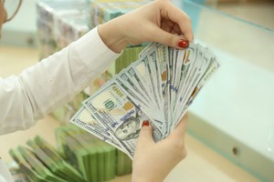 Khách hàng xuất khẩu lựa chọn vay bằng đô la Mỹ để tận dụng lợi thế về lãi suất và nguồn thu bằng ngoại tệ nên không thuộc đối tượng được hưởng hỗ trợ lãi suất. Ảnh Duy Linh.