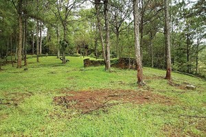 Nhiều doanh nghiệp đầu tư vào đất rừng ở Lâm Đồng sẽ bị thu hồi lại đất rừng phòng hộ