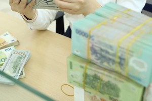 Giá điện, hỗ trợ lãi suất 2%, bán chéo bảo hiểm vào dự kiến kiểm toán năm 2024