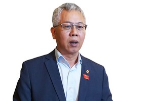 TS. Nguyễn Đức Kiên, Tổ trưởng Tổ Tư vấn chính sách của Thủ tướng.