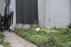 Thị trường đất nền vẫn khó tìm lại “ánh hào quang” như hồi đầu năm 2022. Ảnh: Thanh Vũ