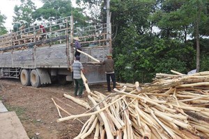 Cơ quan của Quốc hội báo cáo gì về vụ doanh nghiệp kêu cứu vì chậm hoàn thuế