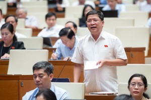 Đại biểu Tạ Văn Hạ (đoàn Quảng Nam).