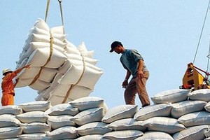 Indonesia nhập khẩu thêm 1 triệu tấn gạo từ Việt Nam và 3 nước khác.