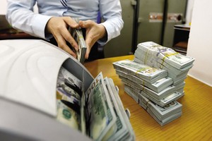 Sự can thiệp của Nhà nước khiến cổ đông nhỏ, người gửi tiền sẽ được bảo vệ khi ngân hàng thất bại. Ảnh: Đức Thanh 