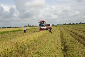 Đưa cơ giới hóa vào sản xuất nông nông nghiệp Đồng Tháp