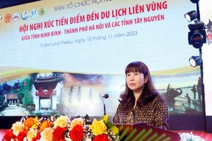 Bà Đặng Hương Giang, Giám đốc Sở Du lịch Hà Nội phát biểu tại Hội nghị.