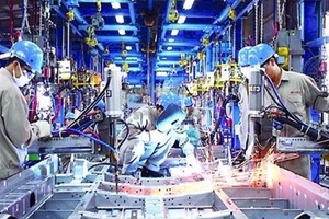 WB khuyến nghị Việt Nam tiếp tục gia hạn các chương trình hỗ trợ kinh tế trong năm 2024