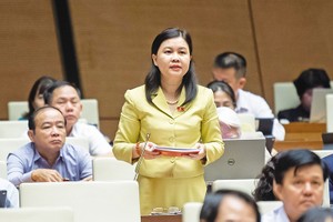 Đại biểu Nguyễn Phương Thủy chất vấn Thủ tướng tại Kỳ họp thứ sáu, Quốc hội khóa XV