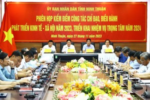 Ninh Thuận nằm trong top 10 cả nước về tăng trưởng GRDP năm 2023