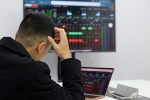 Cổ phiếu VNC được thị trường đánh giá khá ổn định