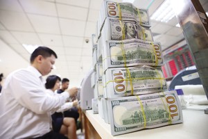 Tỷ giá USD được dự báo có xu hướng giảm trong năm 2024. Ảnh: Dũng Minh