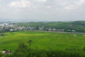 Đề xuất Dự án trồng rừng sản xuất quy mô 15.000 ha tại Quảng Ngãi