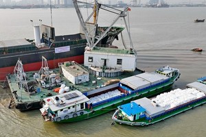 Xuất khẩu gạo năm 2023 đạt khoảng 4,8 tỷ USD, tăng gần 4 lần so với doanh số 1 tỷ USD của năm 1999.