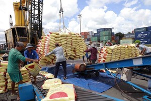 Vận chuyển gạo xuất khẩu xuống container. (Ảnh: Vũ Sinh/TTXVN)