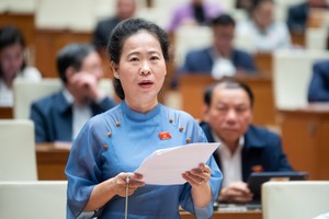 Đại biểu Tô Ái Vang (Sóc Trăng) phát biểu.