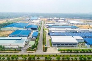 Cải thiện tốt môi trường kinh doanh, các tỉnh Đông Nam bộ hái 'quả ngọt'