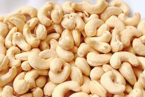 Nhiều dư địa tăng trưởng xuất khẩu điều trong năm 2024