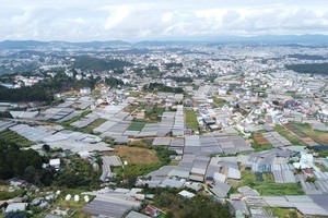 Lâm Đồng dự kiến tổ chức Hội nghị công bố Quy hoạch tỉnh trong tháng 3/2024