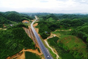 Ảnh minh hoạ. (Nguồn: Internet)