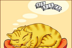 Tính sổ được mất "năm Mèo"