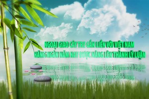 Ngoại giao cây tre đã gắn liền với Việt Nam hàng ngàn năm, nay được nâng lên thành lý luận