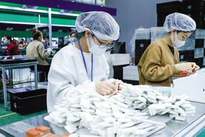 Thu hút vốn đầu tư nước ngoài trong 2 tháng đầu năm đạt 4,29 tỷ USD, tăng 38,6% so với cùng kỳ năm 2023. Ảnh: Đ.T