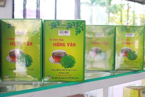 Sản phẩm Trà chùm ngây của Hợp tác xã hoa, cây cảnh và dịch vụ Hồng Vân (huyện Thường Tín, TP. Hà Nội).