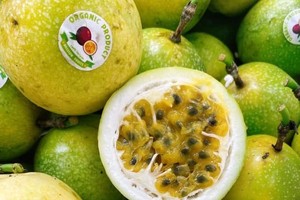Việt Nam - Australia đẩy nhanh mở cửa thị trường cho nông sản 2 nước